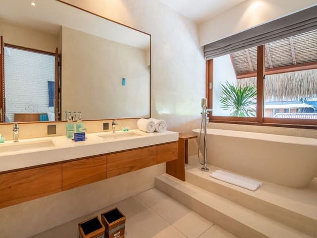IZE Suite