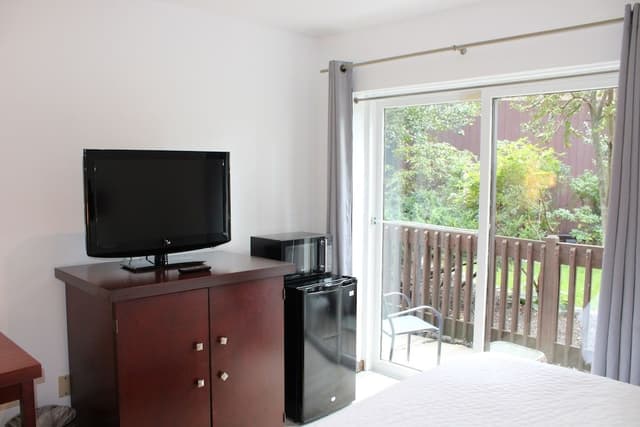 Pet-Friendly Double Room - Courtyard View