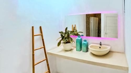 My Capsule Canggu4