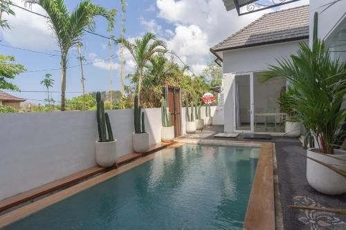 มาร์การิตา วิลลา ชางกู (Margarita Villa Canggu)1