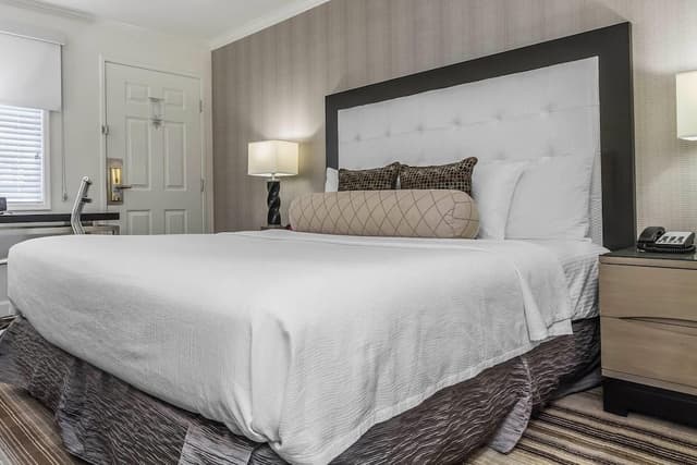 Standard Room, 1 King Bed, Non Smoking