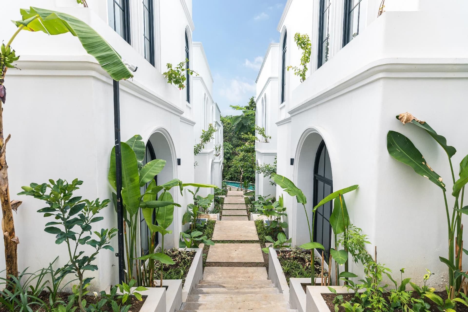 Greenforest Anahata Greenforest Anahata