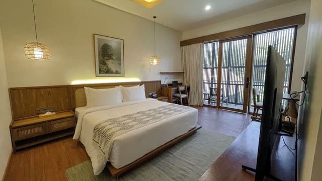 Studio, 1 King Bed
