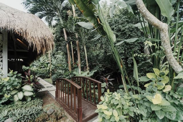 Deluxe Bungalow