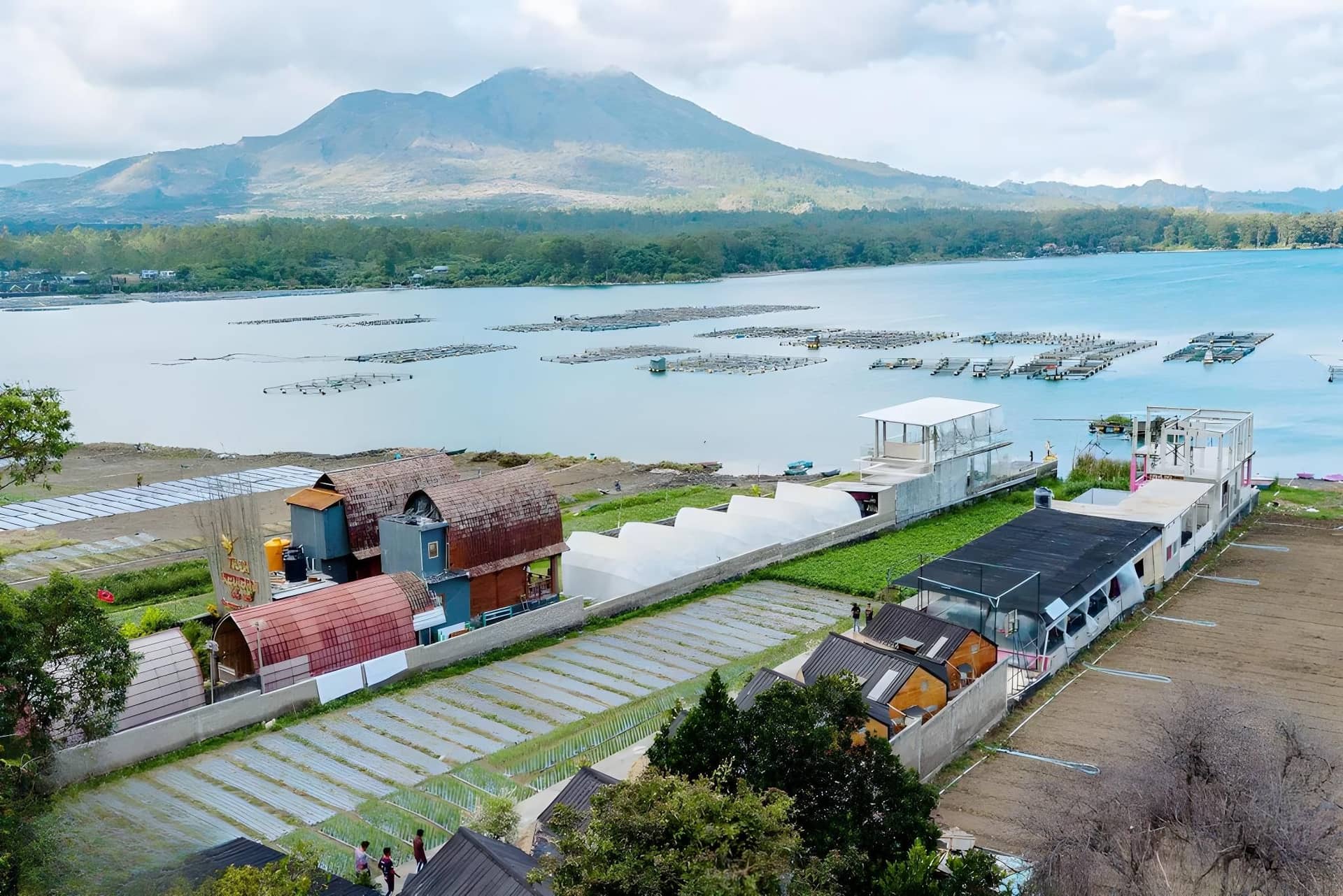 Yucabin Kintamani - for Cool Adults Only Deals Yucabin Kintamani - for Cool Adults Only Deals