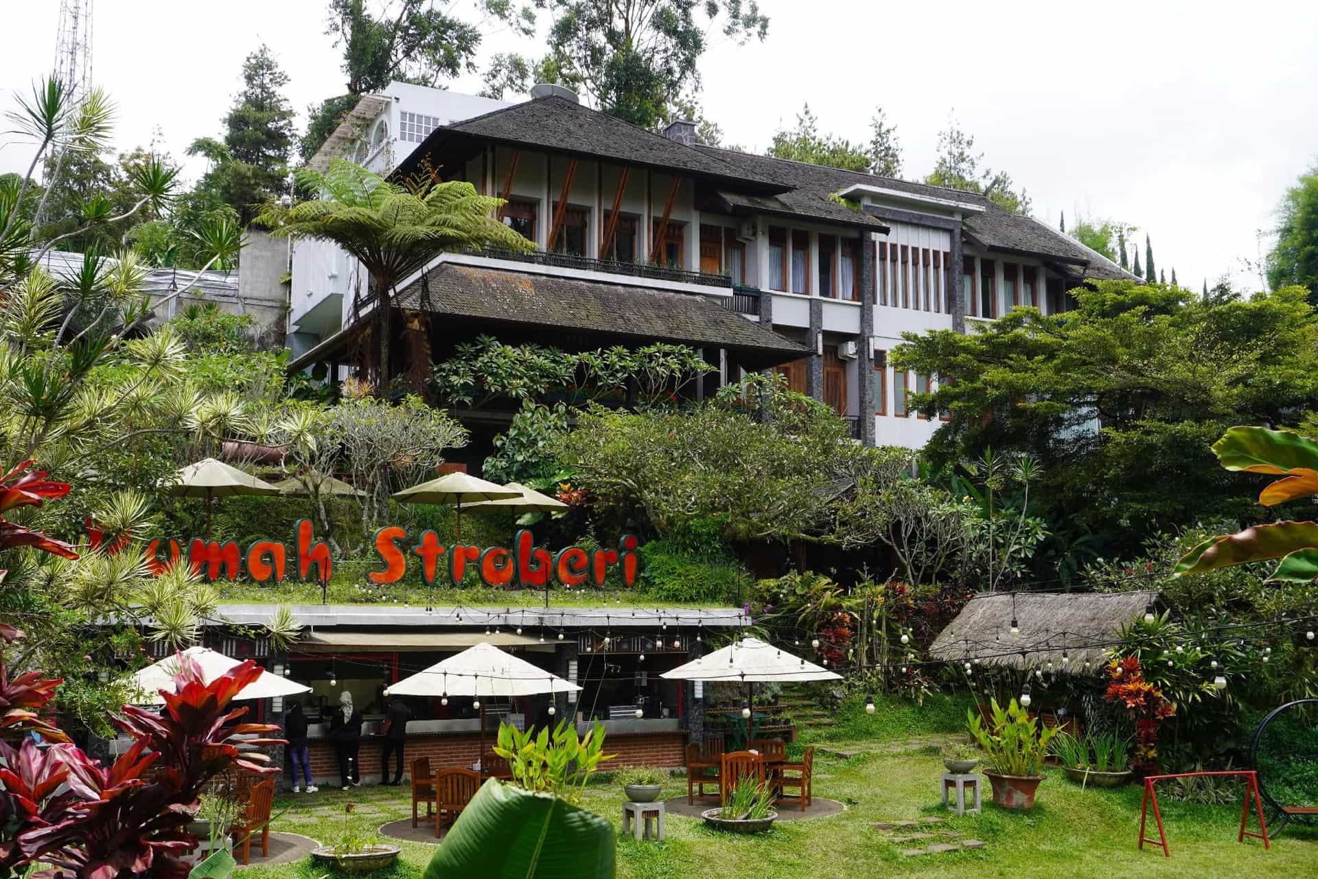 Rumah Stroberi Organic Farm & Family Lodge Rumah Stroberi Organic Farm & Family Lodge