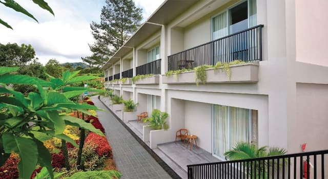 Grand Single Room