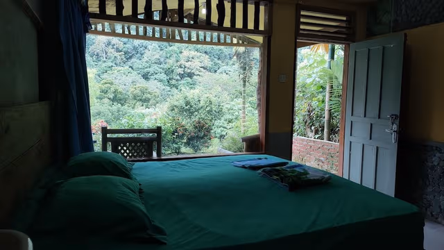 Panoramic Room, Mountain View