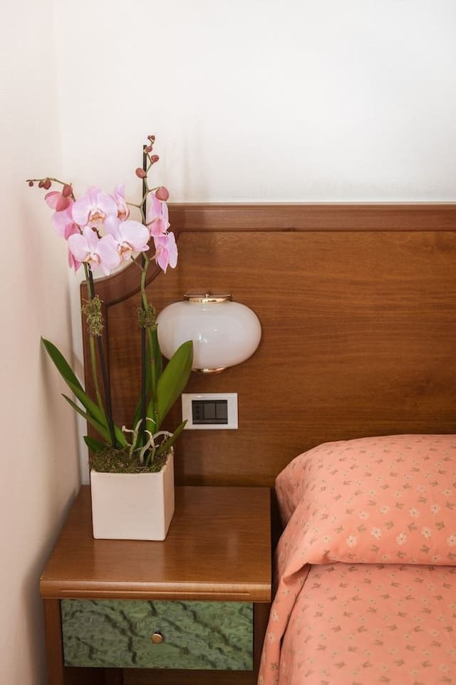 Double Room Single Use (2 single bed)