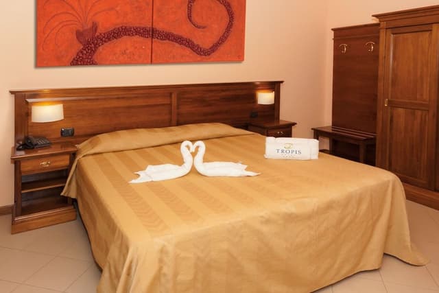 Double Room Single Use