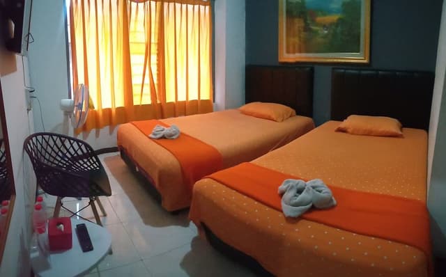 Deluxe Twin Room