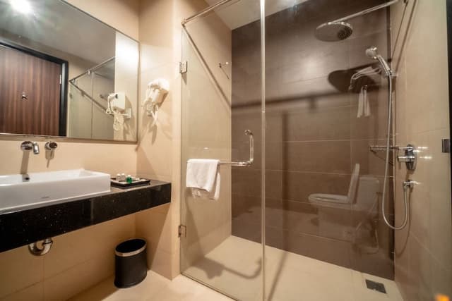 Deluxe Double or Twin Room