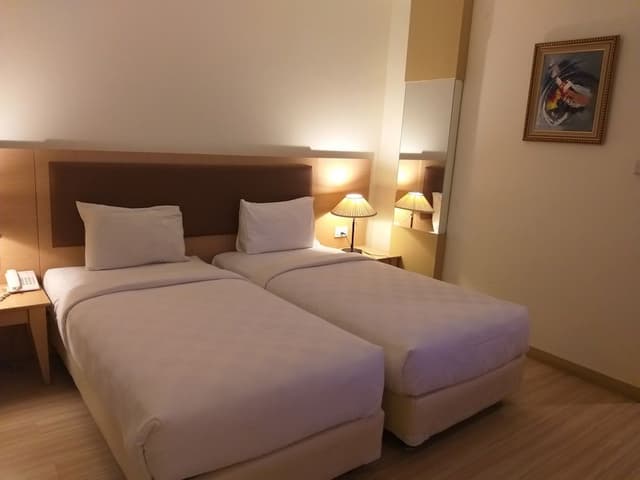 Deluxe Twin Room