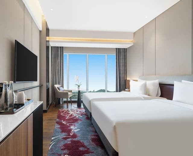 Deluxe Room, 2 Twin Beds, City View