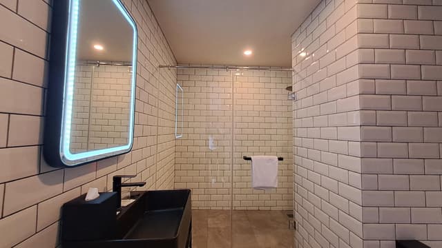 Deluxe Guest room, 1 Queen, City view