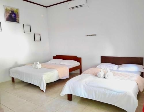 ทาร์ซิอุส โฮมสเตย์ (Tarsius Home Stay)1