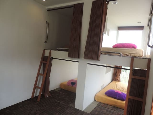 Bunk Bed