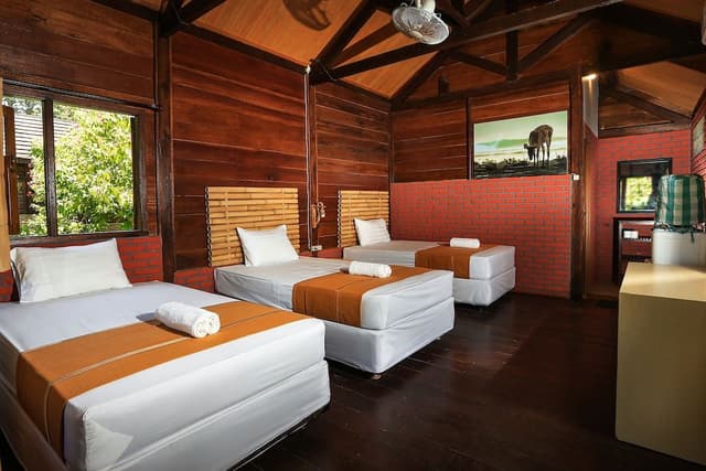 Basic Double or Twin Room