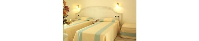 Classic Triple Room
