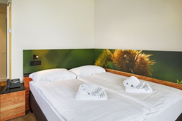 Room, 1 Queen Bed, Mobility Accessible, Air conditioning