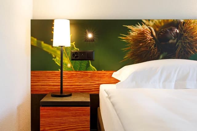 Premium Room with Terrace and Air Conditioning