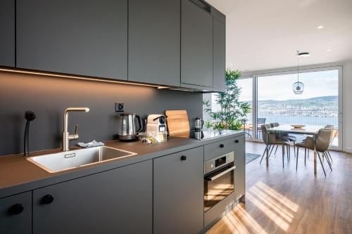 อียสเตทลิฟวิ่งเลควิวอินฮอร์เกนซือริค (aestate living lakeview in Horgen Zürich)2
