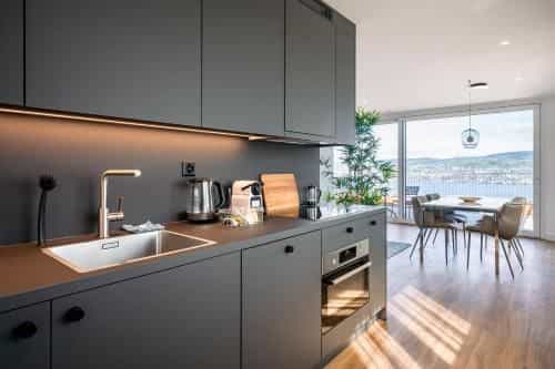 aestate living lakeview in Horgen Zürich aestate living lakeview in Horgen Zürich