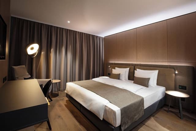 Business Double Room, 1 King Bed