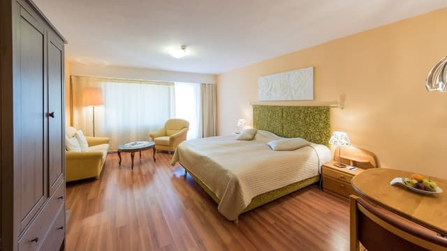 Superior Double Room, Non Smoking, Mountain View