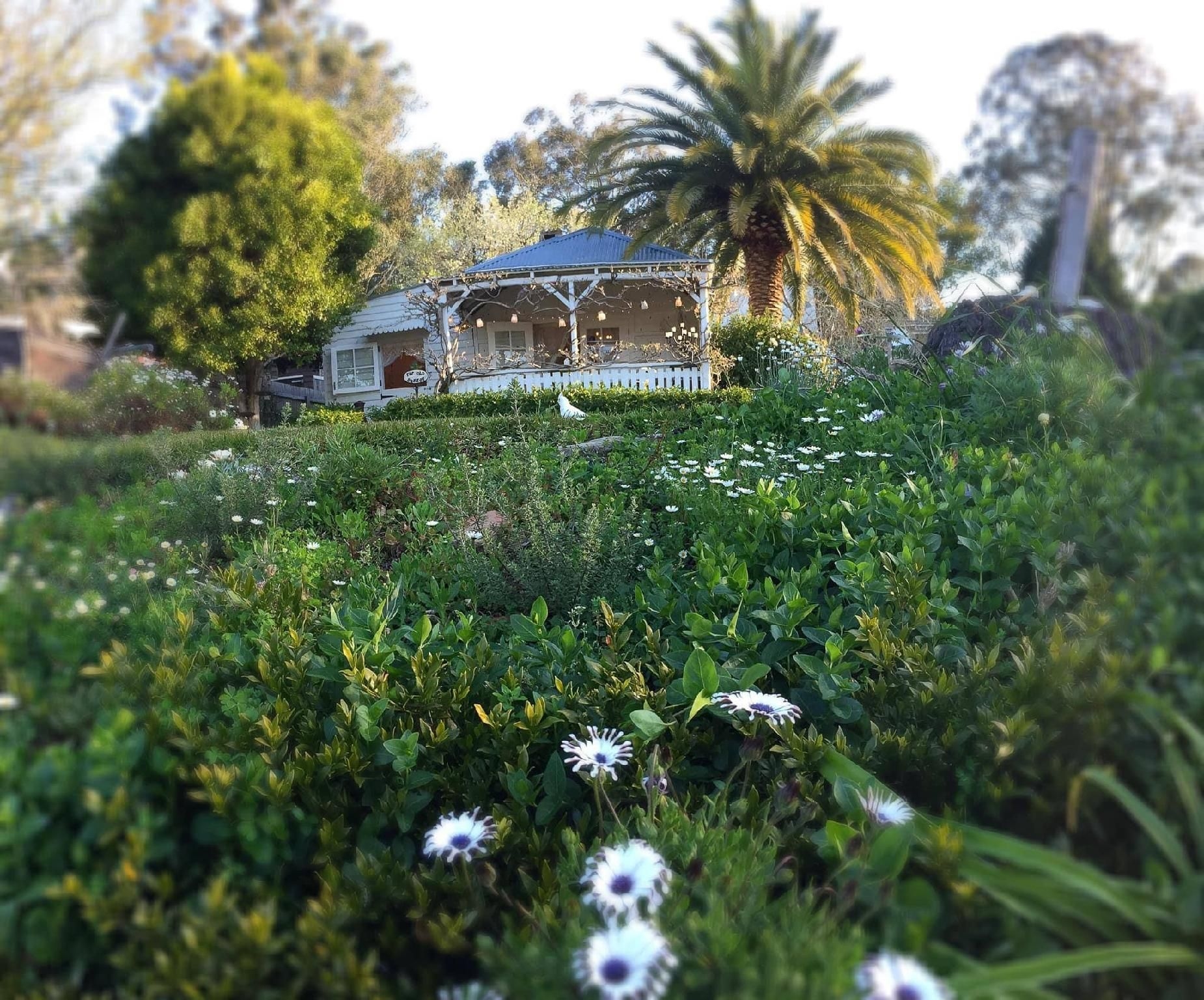 เดอะโอลเบเกอรี่ อินท์ ฮิสตอรี่คังการูแวลลีย์วิเลจ (The Old Bakery in Historic Kangaroo Valley Village)0