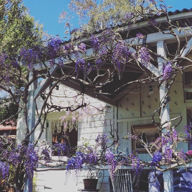 Studio, Multiple Bedrooms, Smoking, Balcony