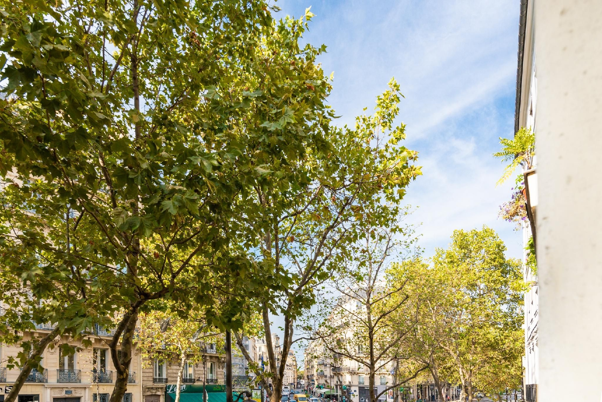 ชิค อพาร์ตเมนต์ - 2 บีอาร์ / 5 พี - บูเลอวาร์ แซ็งต์-แชร์แมง (Chic appartement -2BR/5P- Boulevard Saint-Germain)1