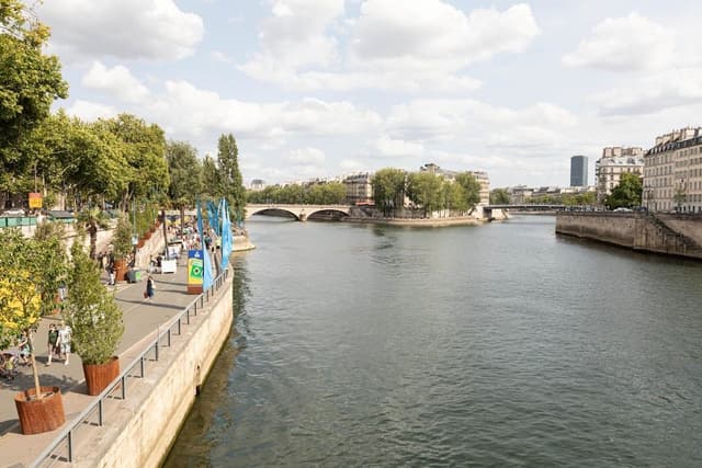 Classic Apartment, Ensuite, City View (Tour Eiffel)