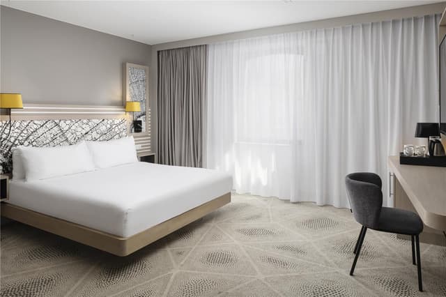 KING ACCESSIBLE ROOM