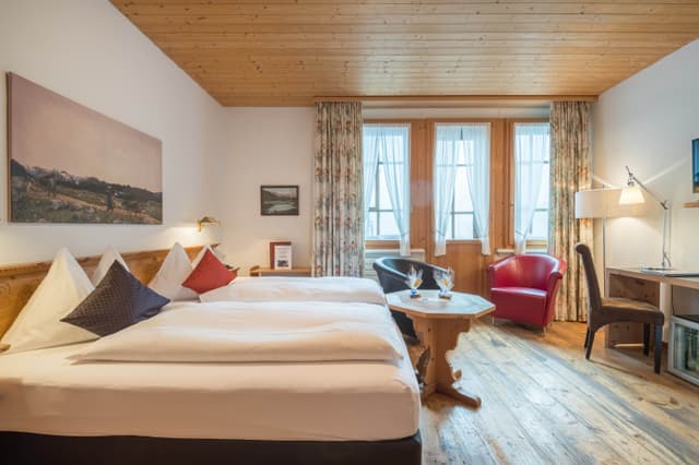 Double Room with Mountain View