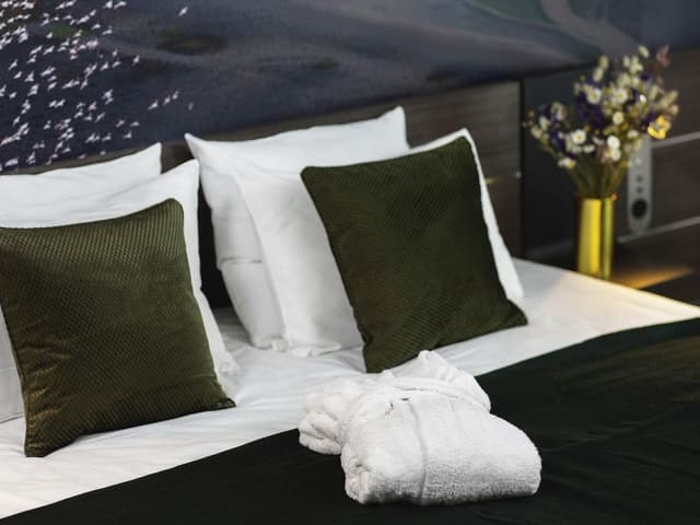 Executive Room, 1 Queen Bed with Sofa bed