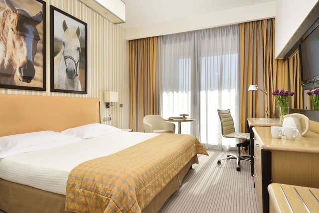Superior Double or Twin Room