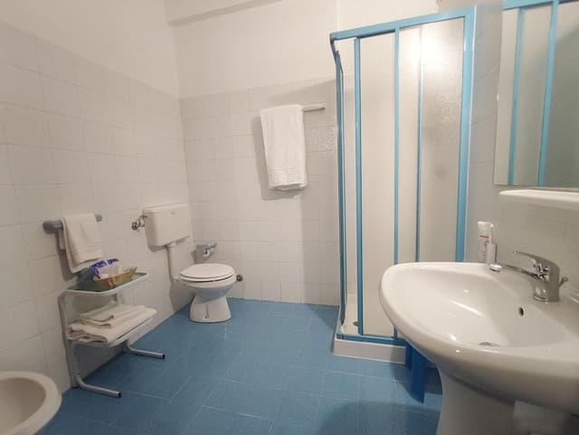 Basic Double or Twin Room