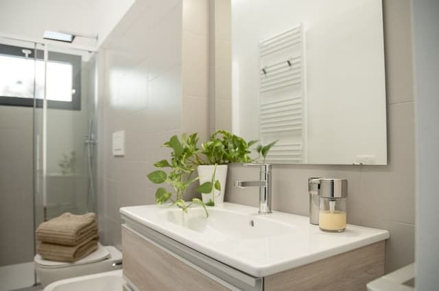 Superior Apartment, Ensuite (con Soppalco e Giardino)