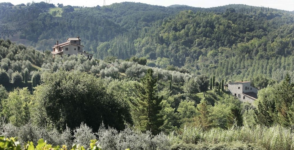 Il Torrino D'Annunzio1