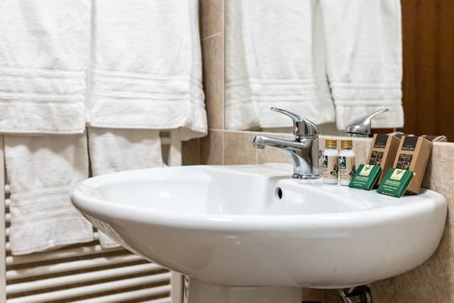 Superior Double or Twin Room, Mountain View