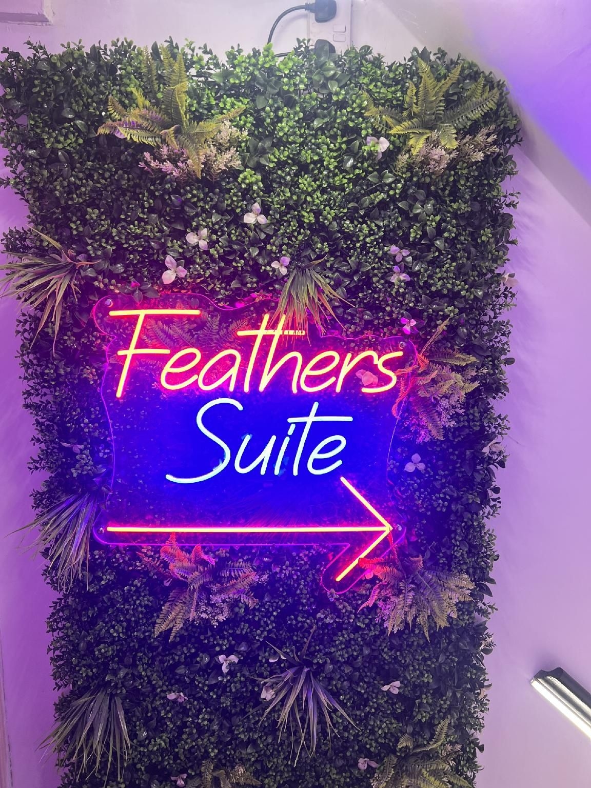 โรงแรม เดอะ เฟเธอร์ส (The Feathers Hotel)2