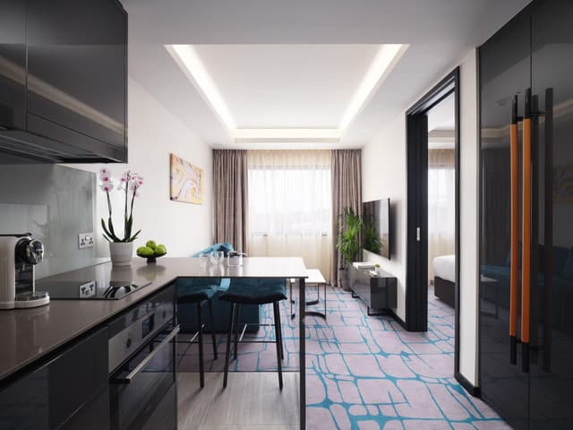 One Bedroom Apartment
