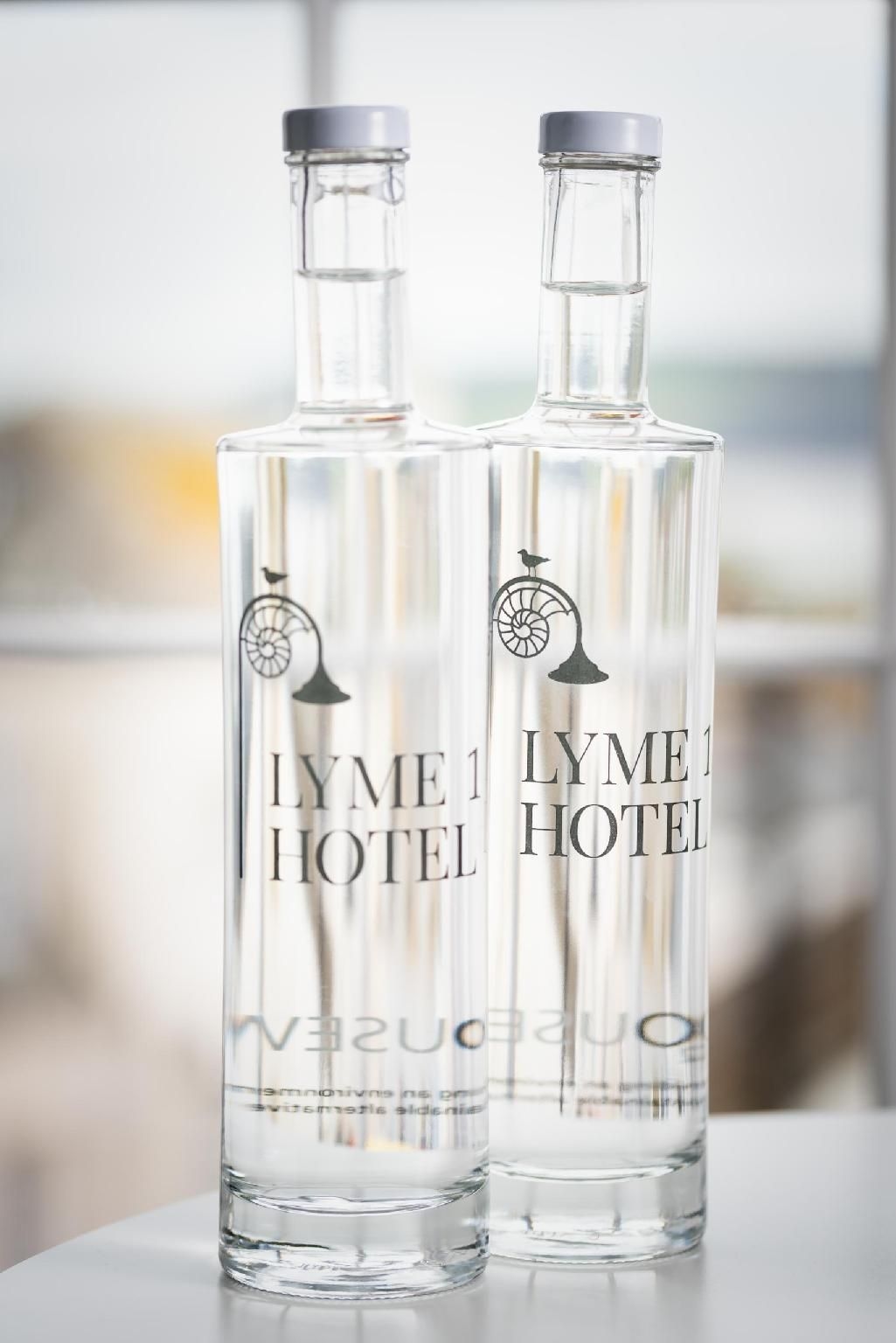 Lyme 1 Hotel4