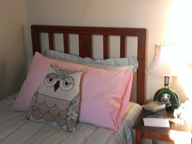 Comfort Single Room, Shared Bathroom, Garden View
