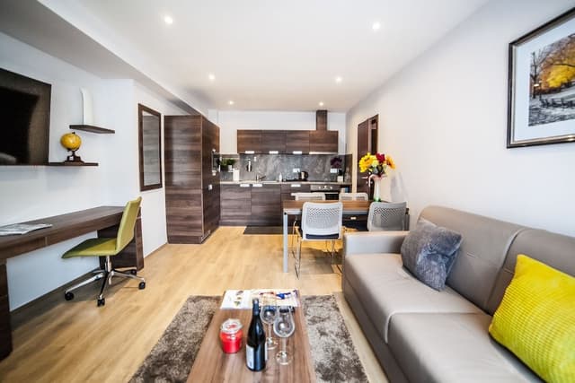 One Bedroom Apartment
