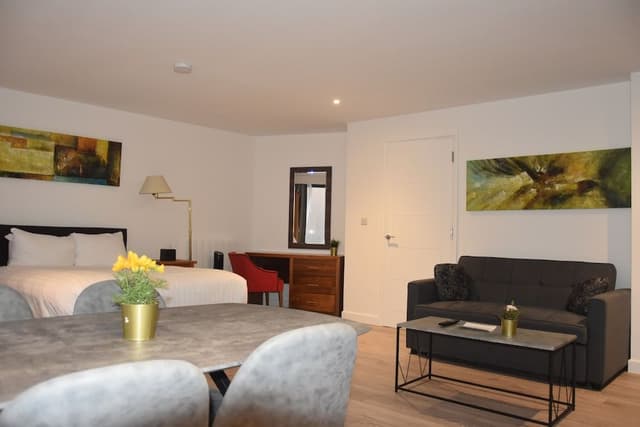 Superior One Bedroom Studio