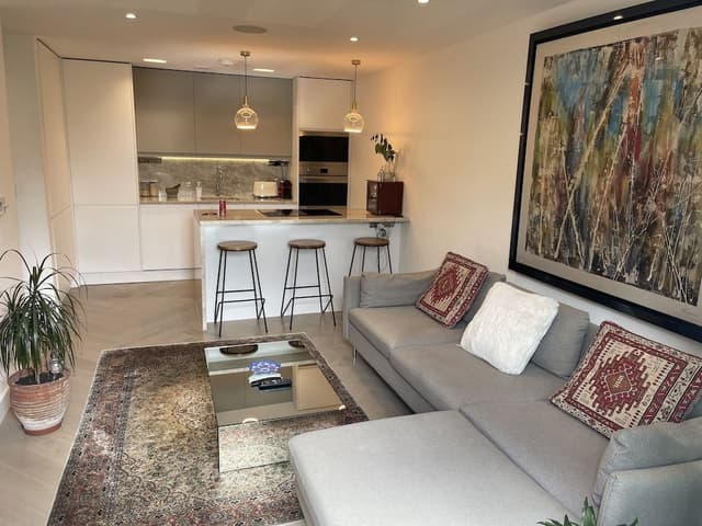 Luxury Apartment