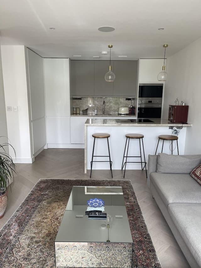 Luxury Apartment