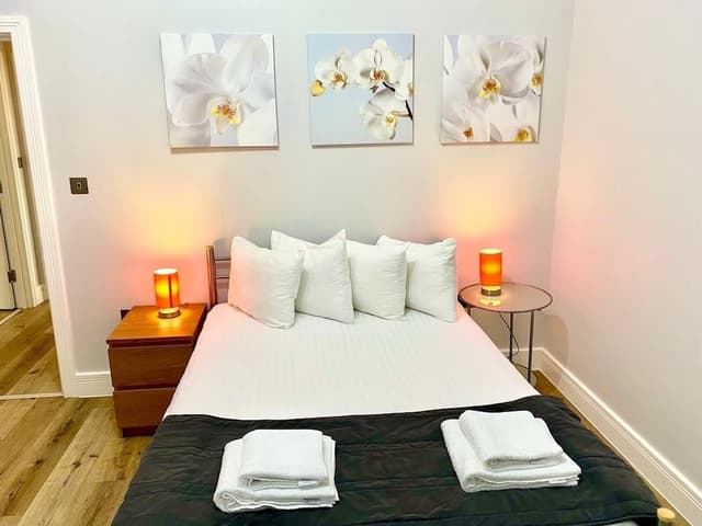 Deluxe Double One Bedroom Apartment(1 Bedroom)